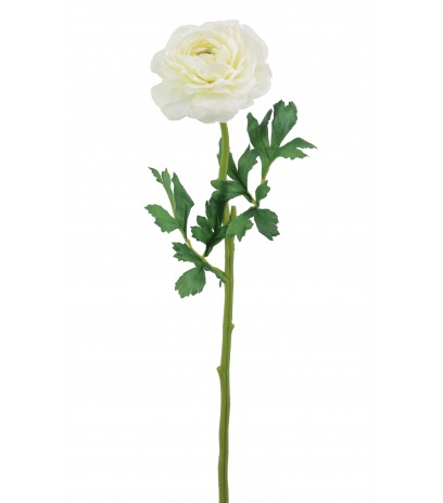 Renoncule artificielle blanche
