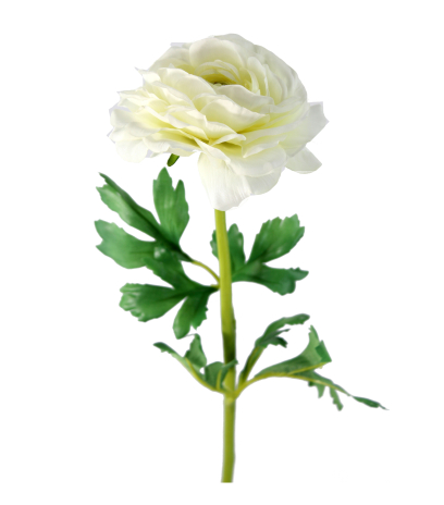 Renoncule artificielle blanche
