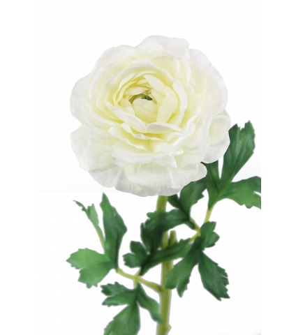 Renoncule artificielle blanche