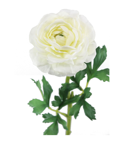 Renoncule artificielle blanche