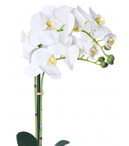 Orchidée papillon artificielle