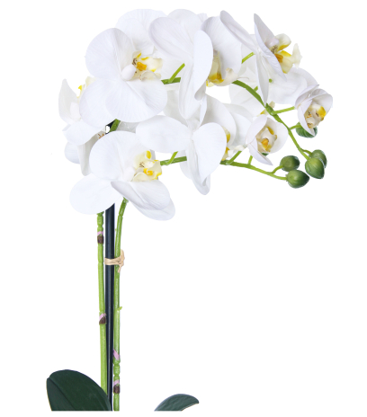 Orchidée papillon artificielle