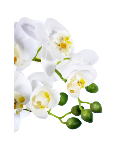 Orchidée papillon artificielle