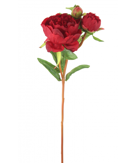 Pivoine artificielle rouge