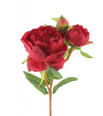Pivoine artificielle rouge