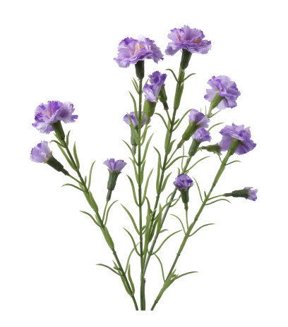Œillet artificiel mauve