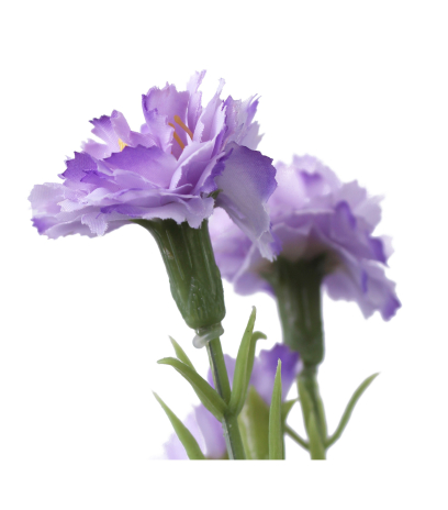 Œillet artificiel mauve