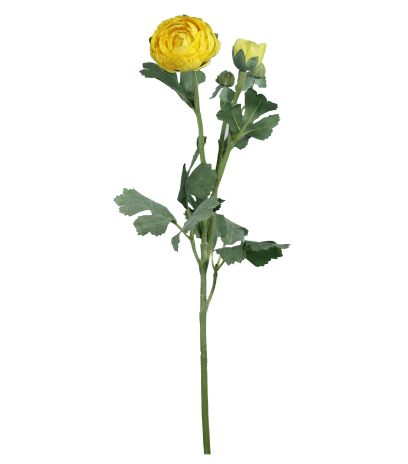 Renoncule artificielle bouton d'or