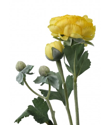 Renoncule artificielle bouton d'or