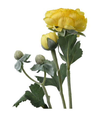 Renoncule artificielle bouton d'or