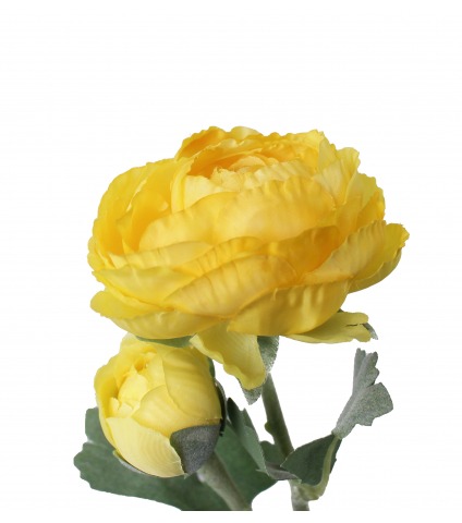 Renoncule artificielle bouton d'or