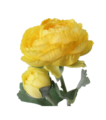 Renoncule artificielle bouton d'or