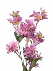 Hohéria mauve artificielle