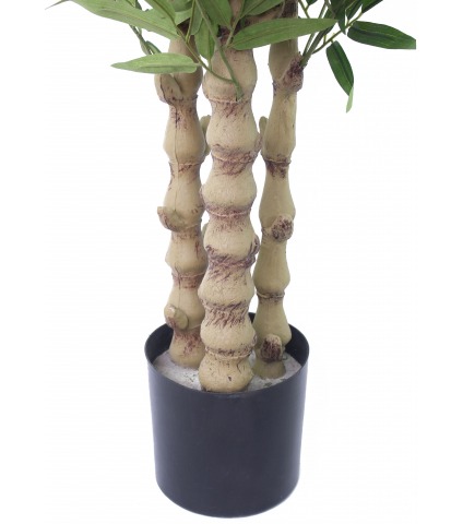 Pot