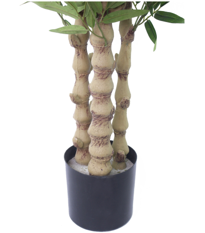 Pot