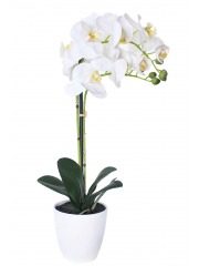 Orchidée papillon artificielle