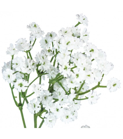 Tige de gypsophile artificiel