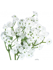 Tige de gypsophile artificiel