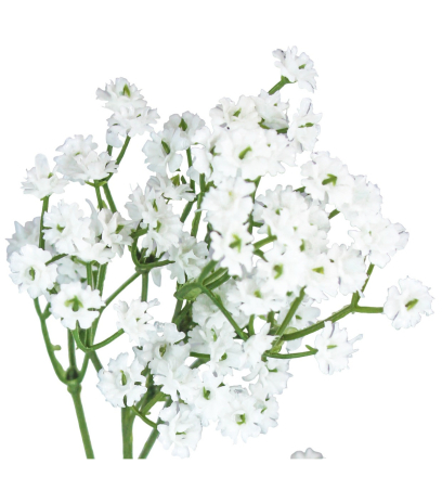 Tige de gypsophile artificiel