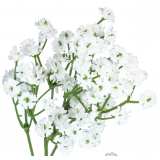 Tige de gypsophile artificiel