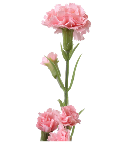 Œillet rose artificiel