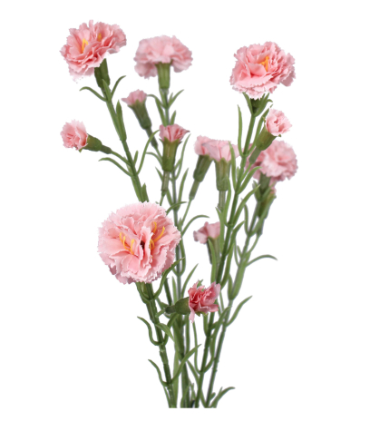 Œillet rose artificiel