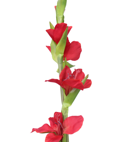 Tige de glaieul artificiel rouge