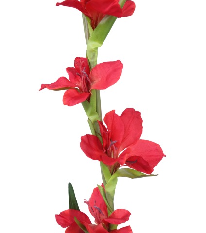 Tige de glaieul artificiel rouge