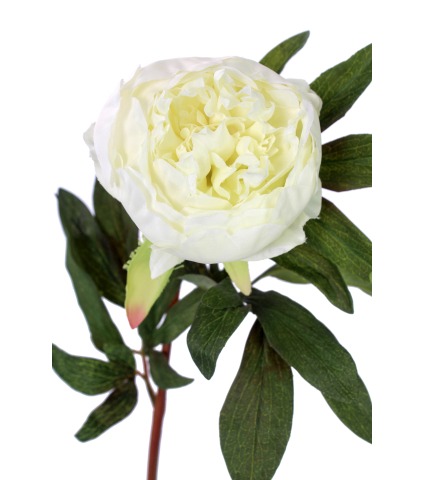 Pivoine artificielle blanche