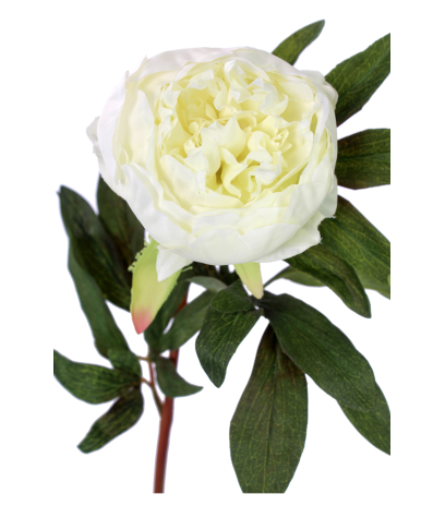 Pivoine artificielle blanche