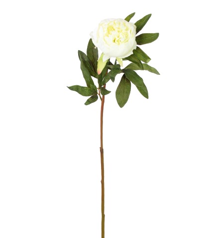 Pivoine artificielle blanche