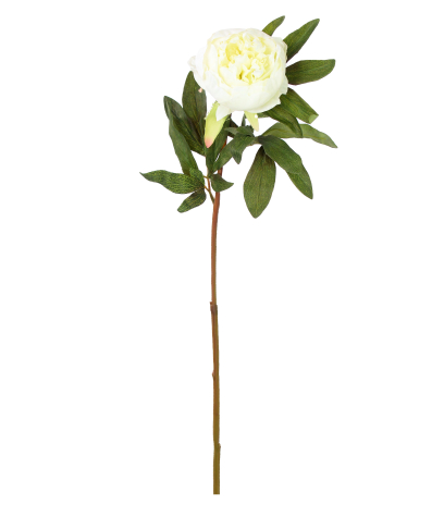 Pivoine artificielle blanche