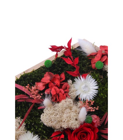 Tableau végétal Granville