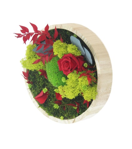 Petit tableau végétal Cherbourg