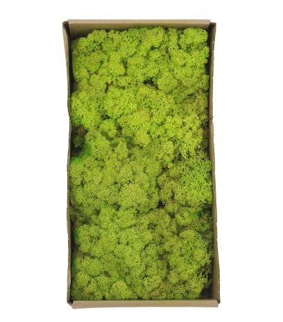 Mousse végétale stabilisée vert pomme