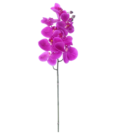 Phalaenopsis artificielle rose