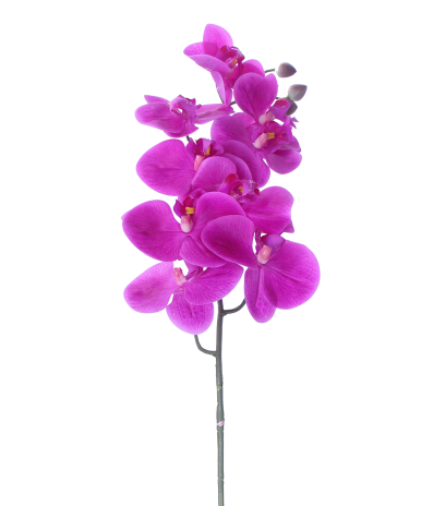 Phalaenopsis artificielle rose