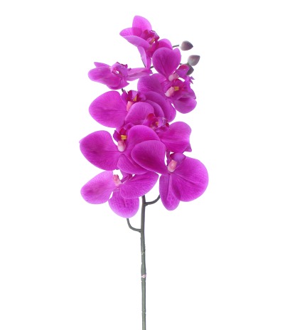 Phalaenopsis artificielle rose