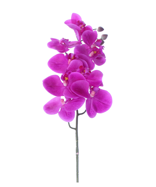 Phalaenopsis artificielle rose