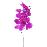 Phalaenopsis artificielle rose