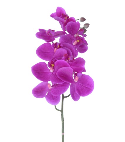 Phalaenopsis artificielle rose