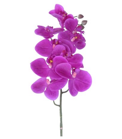 Phalaenopsis artificielle rose