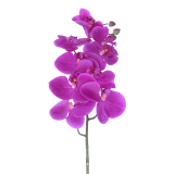 Phalaenopsis artificielle rose