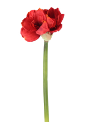 Fleur d'amaryllis artificielle