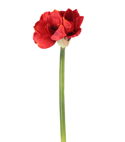 Fleur d'amaryllis artificielle