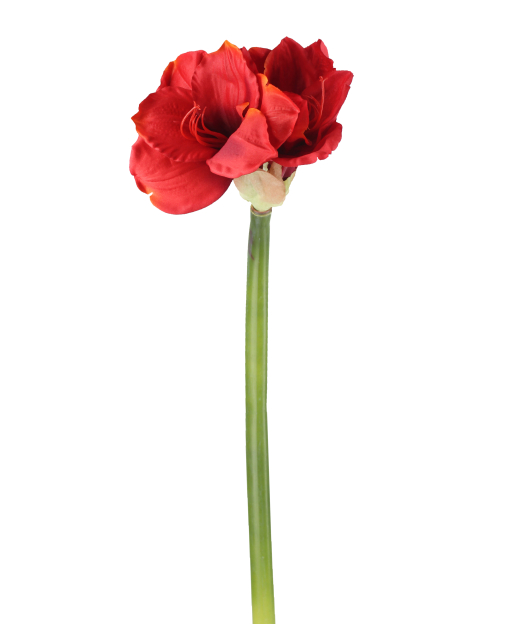 Fleur d'amaryllis artificielle