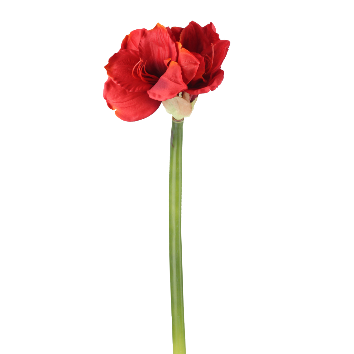 Fleur d'amaryllis artificielle