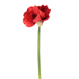 Fleur d'amaryllis artificielle