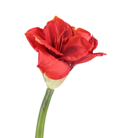 Fleur d'amaryllis artificielle