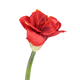 Fleur d'amaryllis artificielle